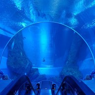 บึงฉวาก