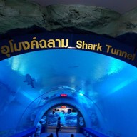 บึงฉวาก