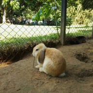 บรรยากาศ The Rabbit Union