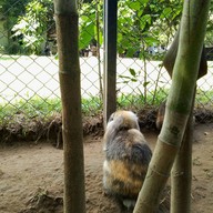 บรรยากาศ The Rabbit Union