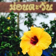 ม่อนตะวัน