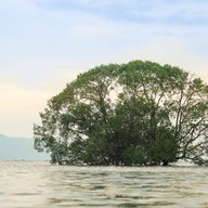 ชุมชนบ้านน้ำเชียว จังหวัดตราด