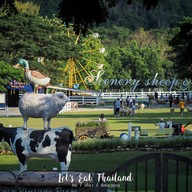 The Scenery Vintage Farm