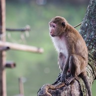 ชุมชนบ้านน้ำเชียว จังหวัดตราด