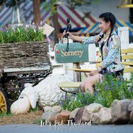 The Scenery Vintage Farm