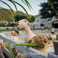 The Scenery Vintage Farm