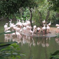 บรรยากาศ taipei zoo