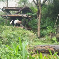 บรรยากาศ taipei zoo