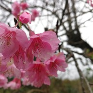 บรรยากาศ สถานีเกษตรหลวงอินทนนท์