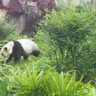 บรรยากาศ taipei zoo