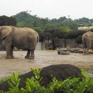 บรรยากาศ taipei zoo