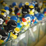 บรรยากาศ taipei zoo