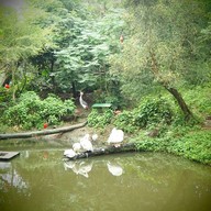 บรรยากาศ taipei zoo