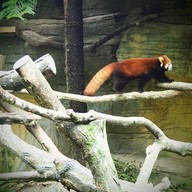 บรรยากาศ taipei zoo
