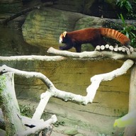 บรรยากาศ taipei zoo