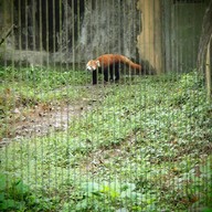 บรรยากาศ taipei zoo