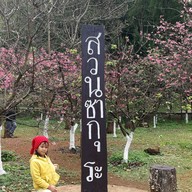 บรรยากาศ สถานีเกษตรหลวงอินทนนท์