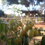 Khao Khun Mae Farm&cafe