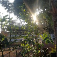 Khao Khun Mae Farm&cafe