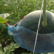 Khao Khun Mae Farm&cafe