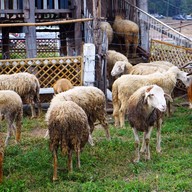 บรรยากาศ ลานเนินนุ่ม