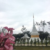 วัดทิพย์อัปสรอมรอินทร์ (น้อยวังสะแกง)