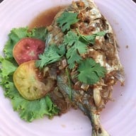 Sea Horse 2 (Green Place) เสม็ด