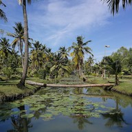 บรรยากาศ สวนทวีวนารมย์