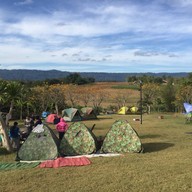 Bird's Nest Camping (นอนเต็นท์ นับดาว วังน้ำเขียว)