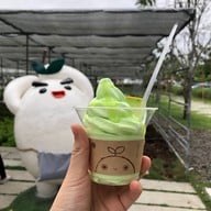 เมนูของร้าน CORO FIELD