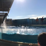Enoshima Aquarium