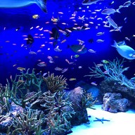 Enoshima Aquarium