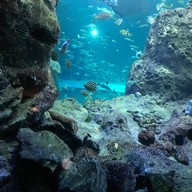 Enoshima Aquarium