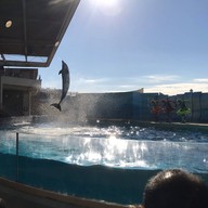 Enoshima Aquarium