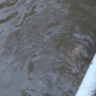 บรรยากาศ วัดโพธิคุณ