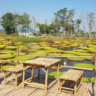 บรรยากาศ สวนดูบัว