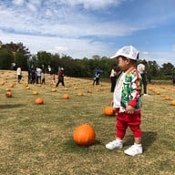 บรรยากาศ Jim Thompson Farm