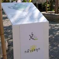 ฉำฉา(Chamcha) market