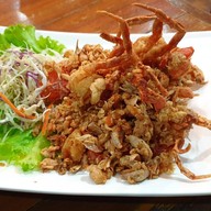 บ้านดาว