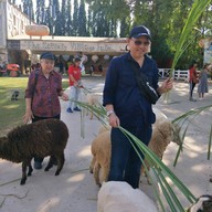 The Scenery Vintage Farm