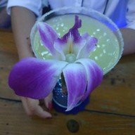 Sailor Bar & Restaurant