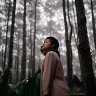 สวนป่าดอยบ่อหลวง