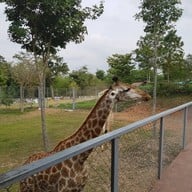 บรรยากาศ สวนผึ้งไฮแลนด์