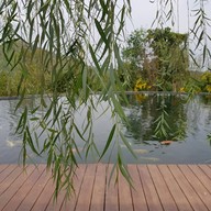 บรรยากาศ สวนผึ้งไฮแลนด์