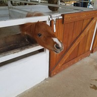 บรรยากาศ สวนผึ้งไฮแลนด์