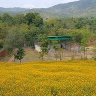 บรรยากาศ สวนผึ้งไฮแลนด์