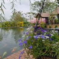 บรรยากาศ สวนผึ้งไฮแลนด์