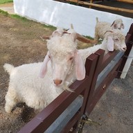 บรรยากาศ สวนผึ้งไฮแลนด์