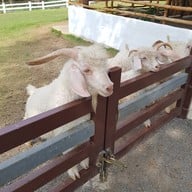 บรรยากาศ สวนผึ้งไฮแลนด์