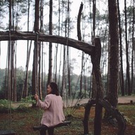 สวนป่าดอยบ่อหลวง